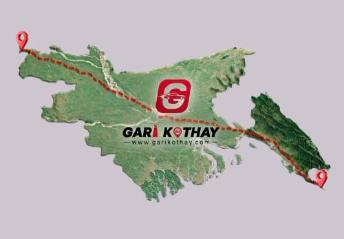 Promo Banner